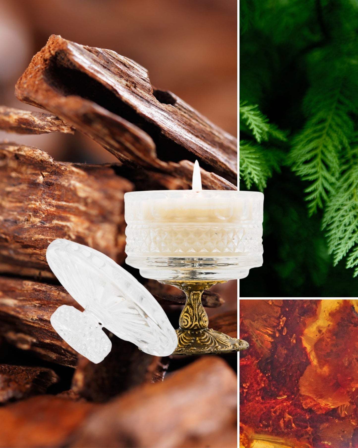 Recharge bougie parfumée Bois de Oud – Mystère intense