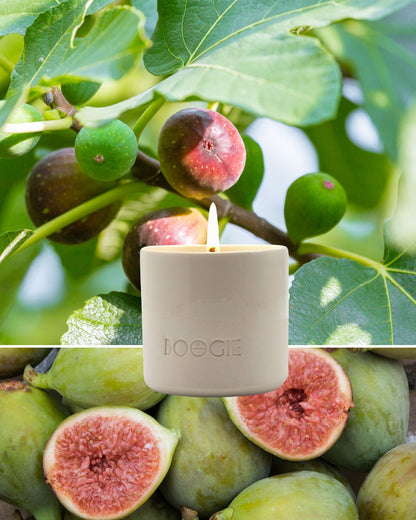Recharge Bougie Parfumée Figue