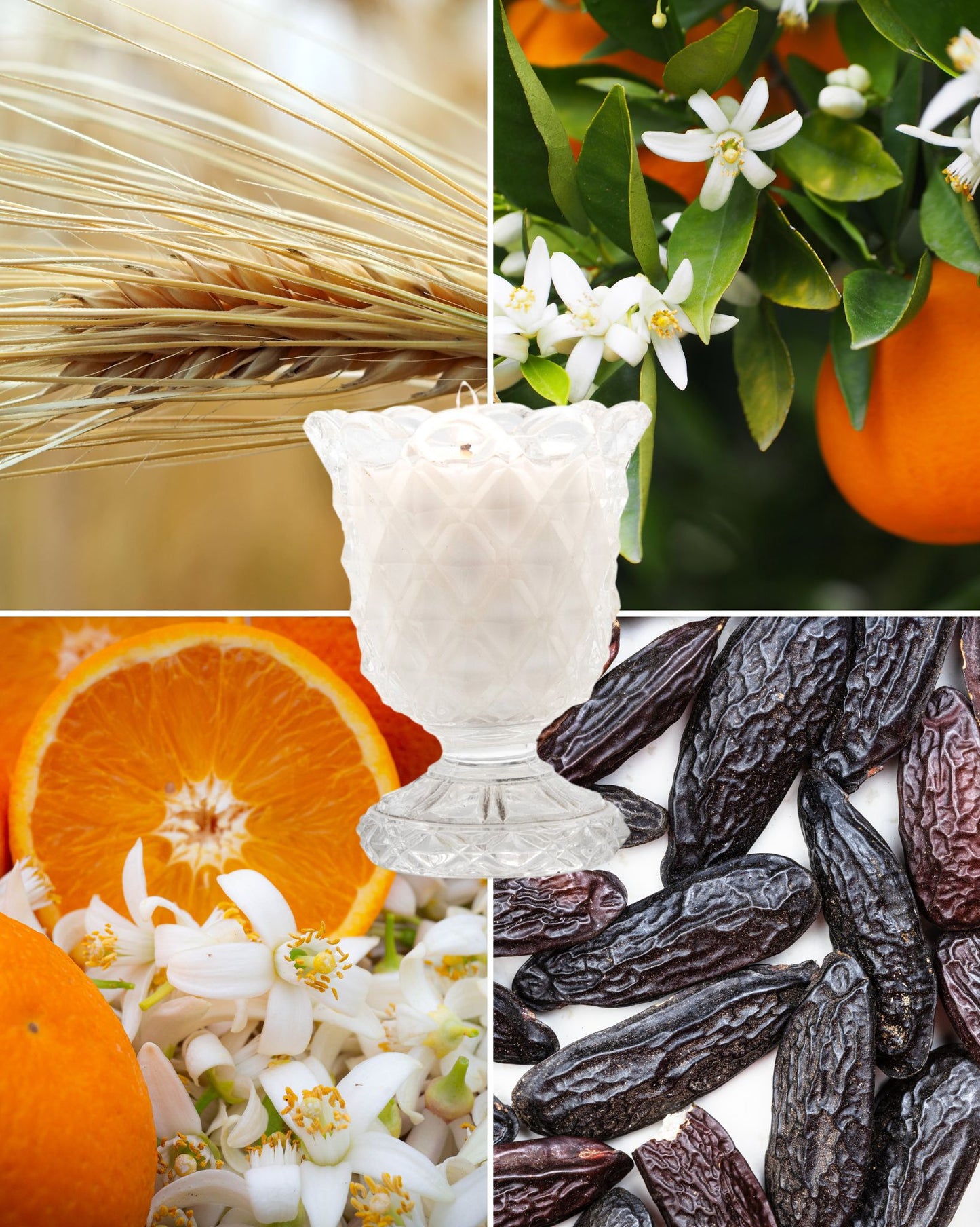 Recharge Bougie Parfumée Fleur d’Oranger – Douceur lumineuse